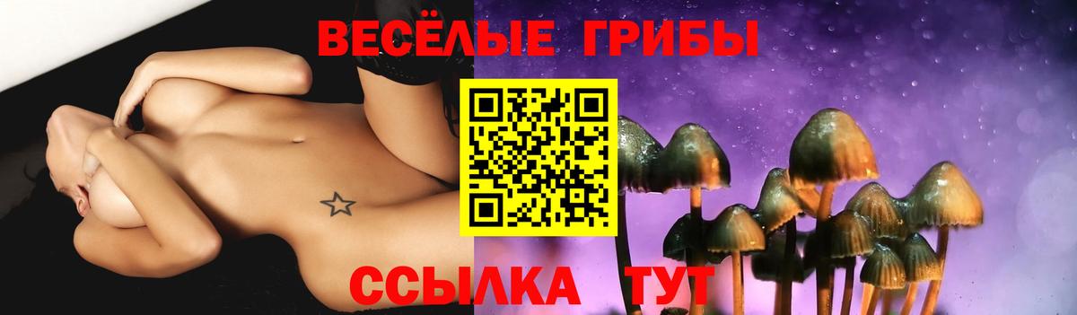 Галлюциногенные грибы ЛСД  Вход с VPN  Магадан 